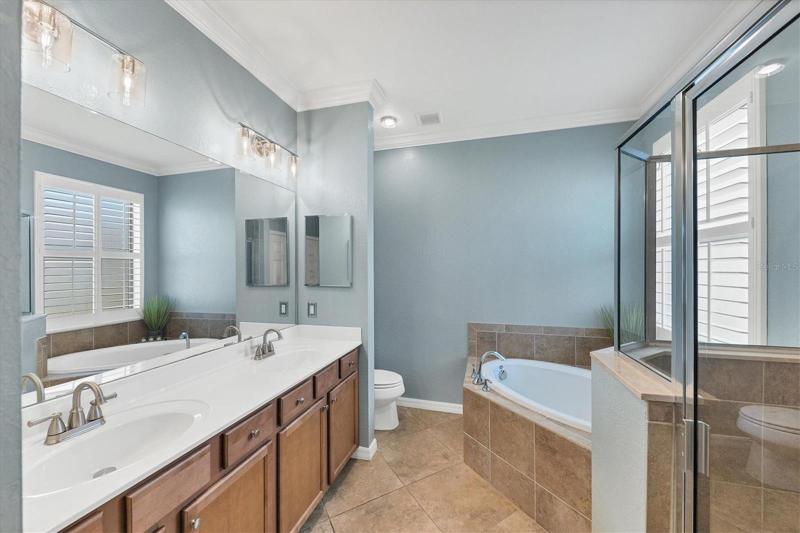 Master bathroom with new sink and shower faucets