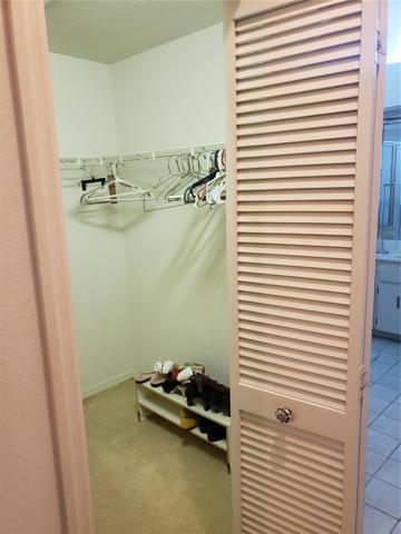 Master Walk-in Closet