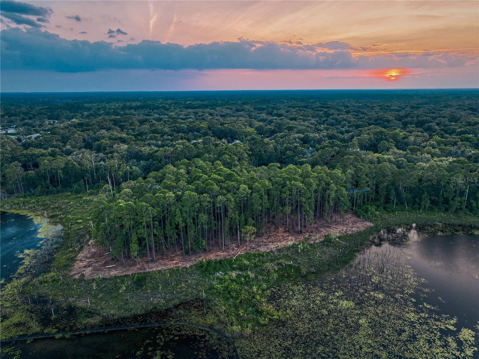 Lake Mary, Florida 32746, 0 , 0 ,0,Land,For Sale,GREENTREE,0,O6115397