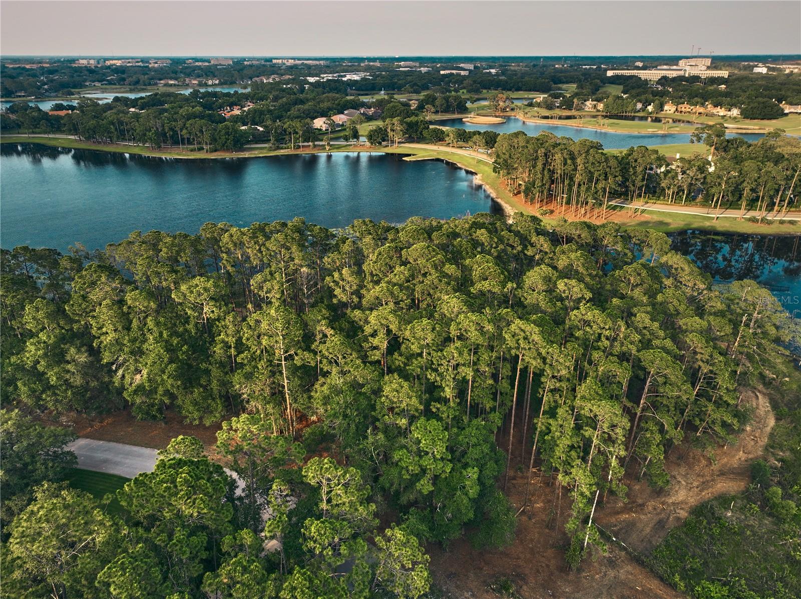 Lake Mary, Florida 32746, 0 , 0 ,0,Land,For Sale,GREENTREE,0,O6115397