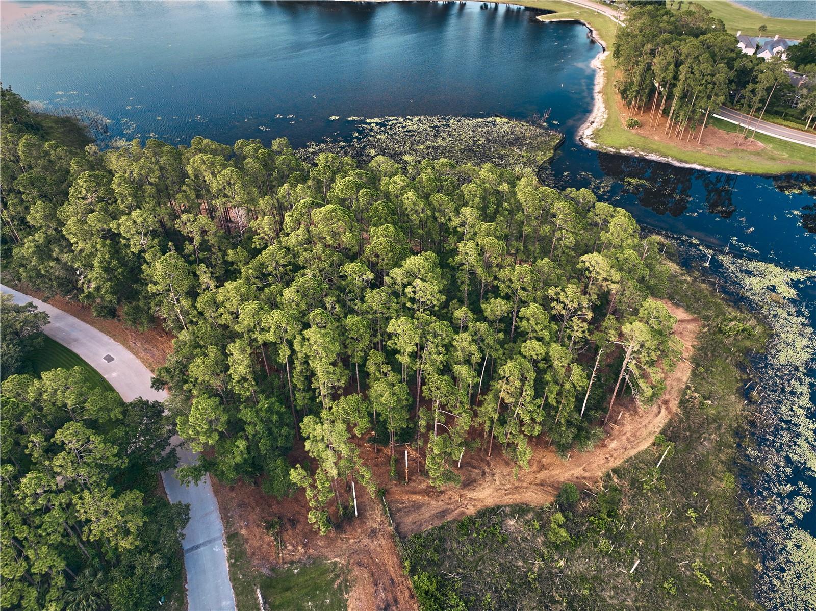 Lake Mary, Florida 32746, 0 , 0 ,0,Land,For Sale,GREENTREE,0,O6115397