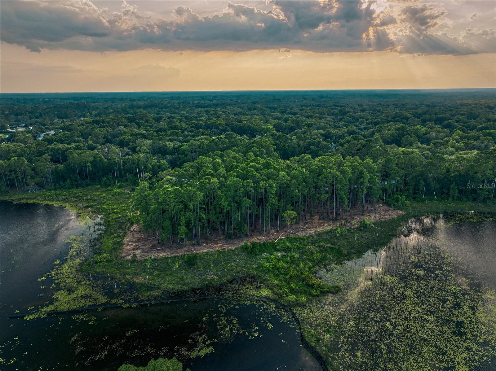 Lake Mary, Florida 32746, 0 , 0 ,0,Land,For Sale,GREENTREE,0,O6115397