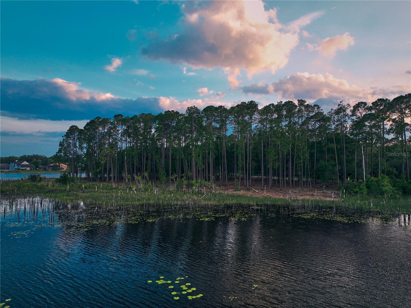 Lake Mary, Florida 32746, 0 , 0 ,0,Land,For Sale,GREENTREE,0,O6115397