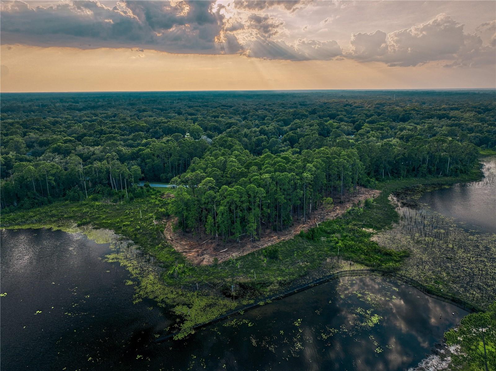 Lake Mary, Florida 32746, 0 , 0 ,0,Land,For Sale,GREENTREE,0,O6115397
