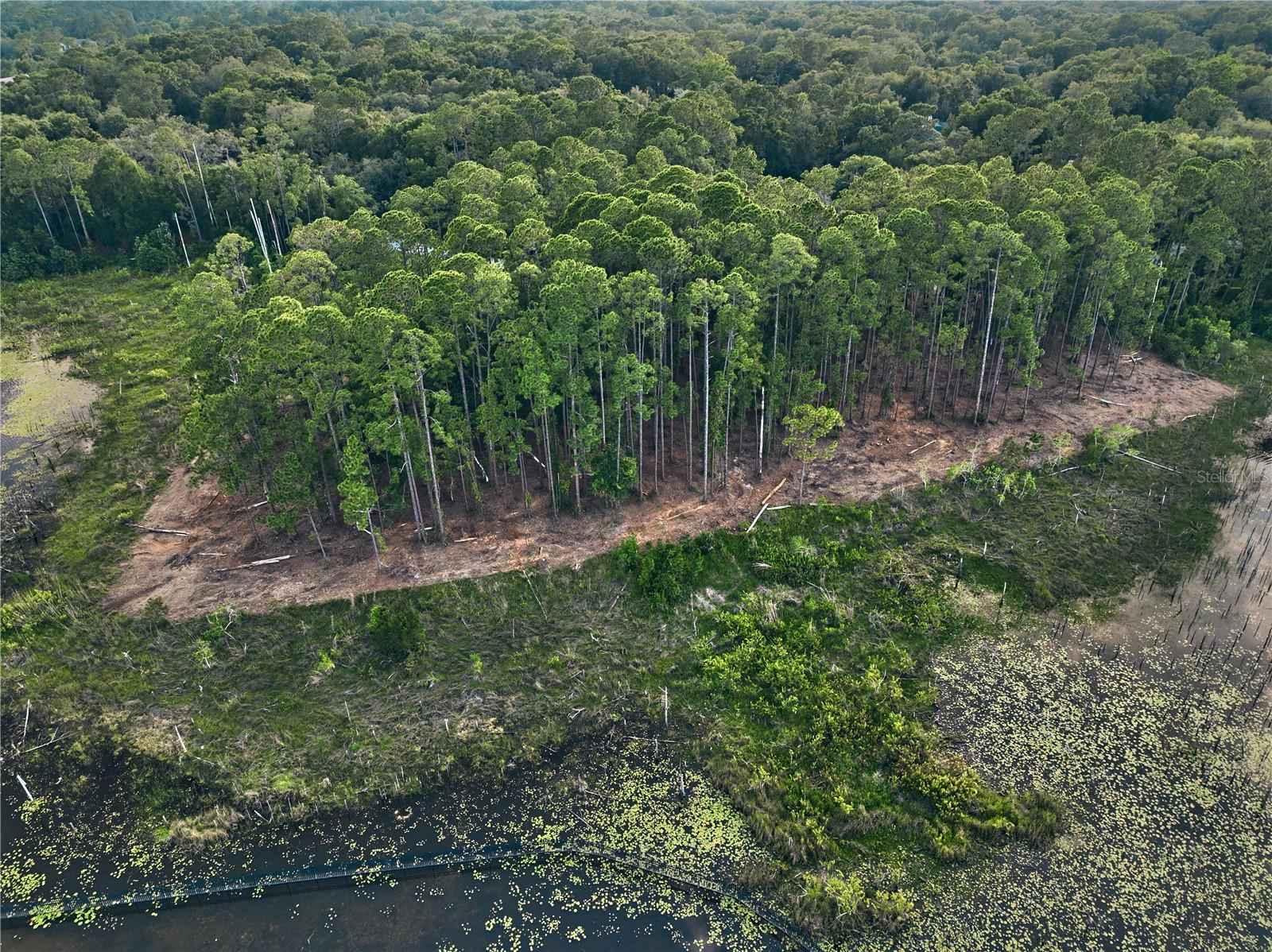 Lake Mary, Florida 32746, 0 , 0 ,0,Land,For Sale,GREENTREE,0,O6115397