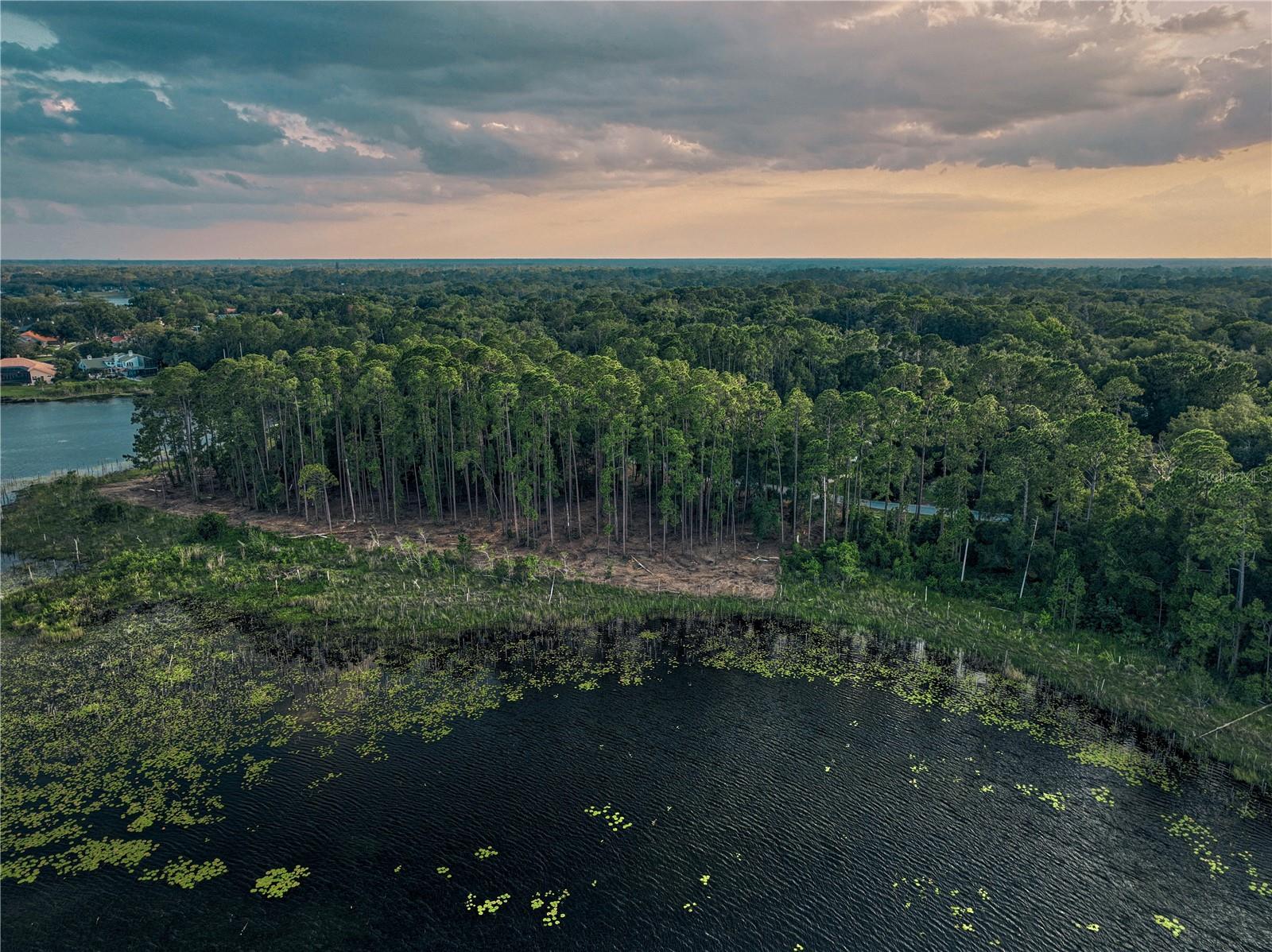 Lake Mary, Florida 32746, 0 , 0 ,0,Land,For Sale,GREENTREE,0,O6115397