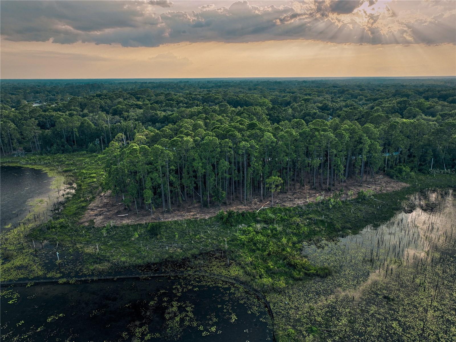 Lake Mary, Florida 32746, 0 , 0 ,0,Land,For Sale,GREENTREE,0,O6115397