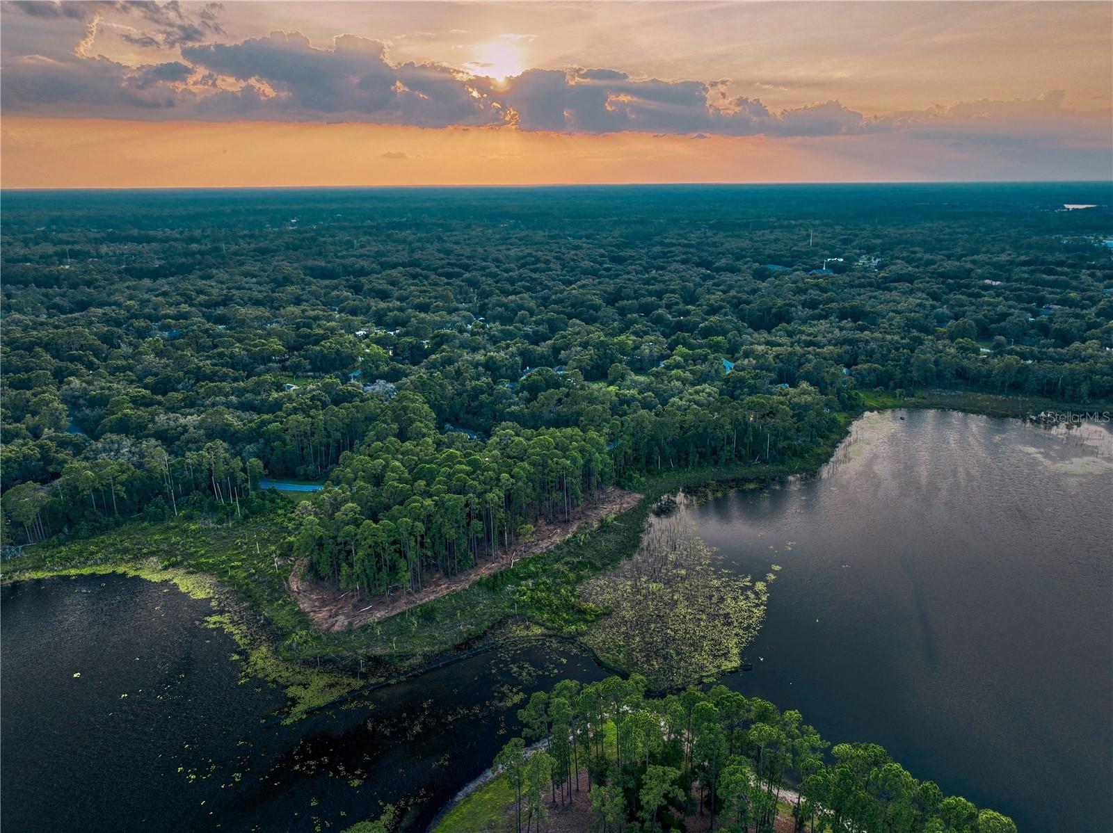 Lake Mary, Florida 32746, 0 , 0 ,0,Land,For Sale,GREENTREE,0,O6115397