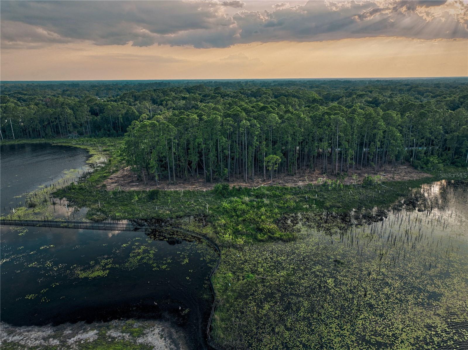 Lake Mary, Florida 32746, 0 , 0 ,0,Land,For Sale,GREENTREE,0,O6115397
