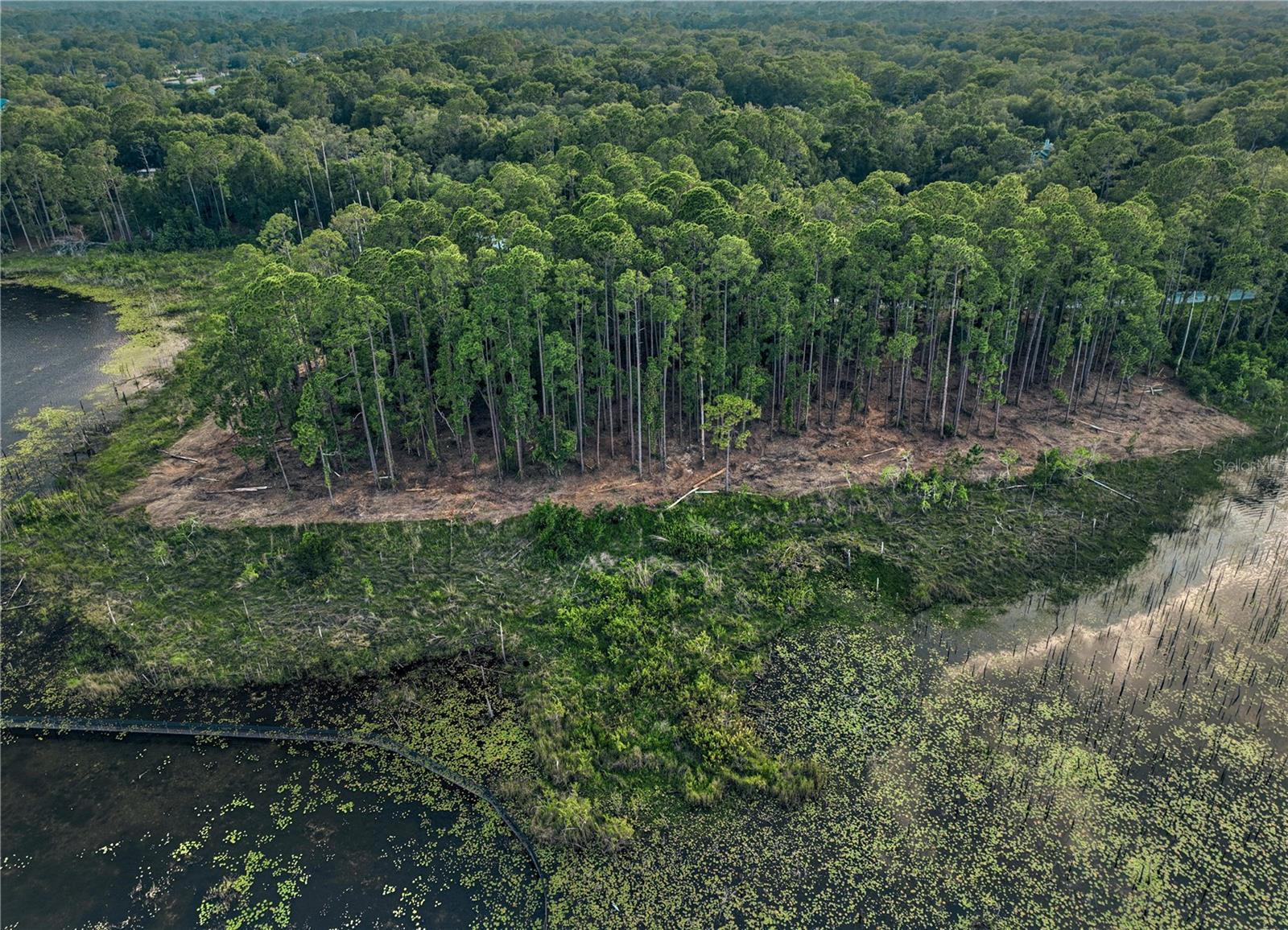 Lake Mary, Florida 32746, 0 , 0 ,0,Land,For Sale,GREENTREE,0,O6115397
