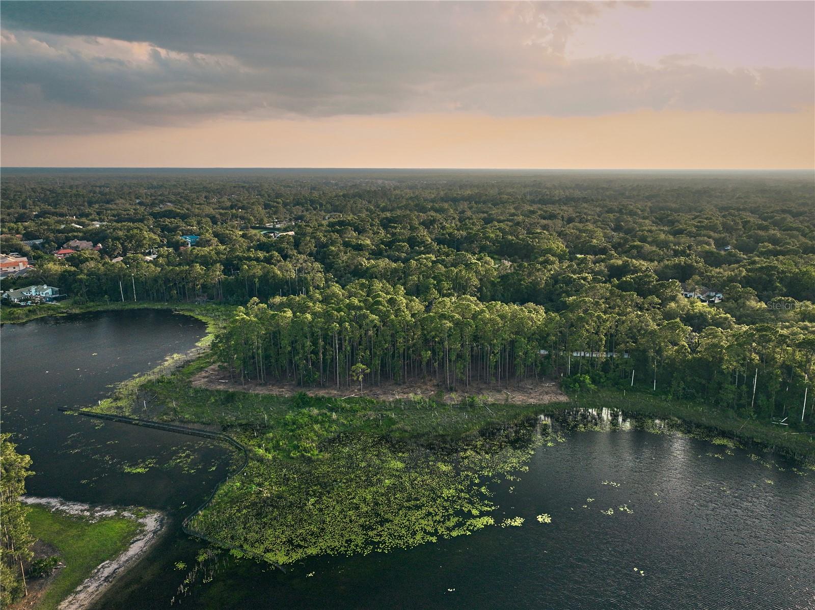 Lake Mary, Florida 32746, 0 , 0 ,0,Land,For Sale,GREENTREE,0,O6115397