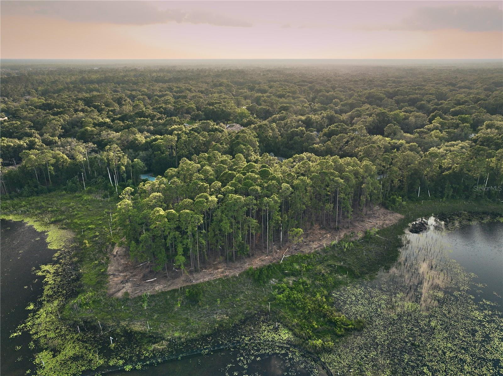 Lake Mary, Florida 32746, 0 , 0 ,0,Land,For Sale,GREENTREE,0,O6115397