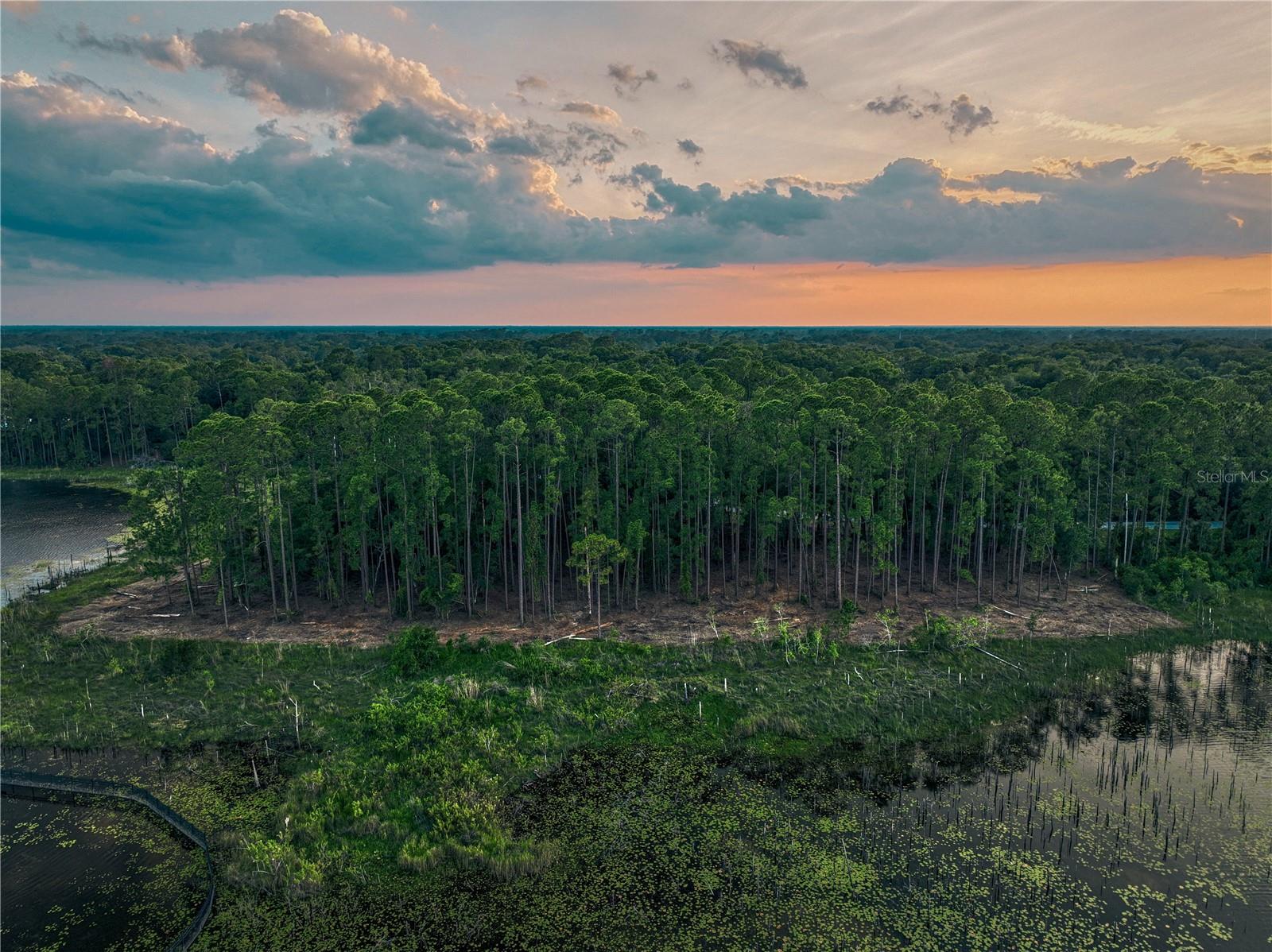 Lake Mary, Florida 32746, 0 , 0 ,0,Land,For Sale,GREENTREE,0,O6115397
