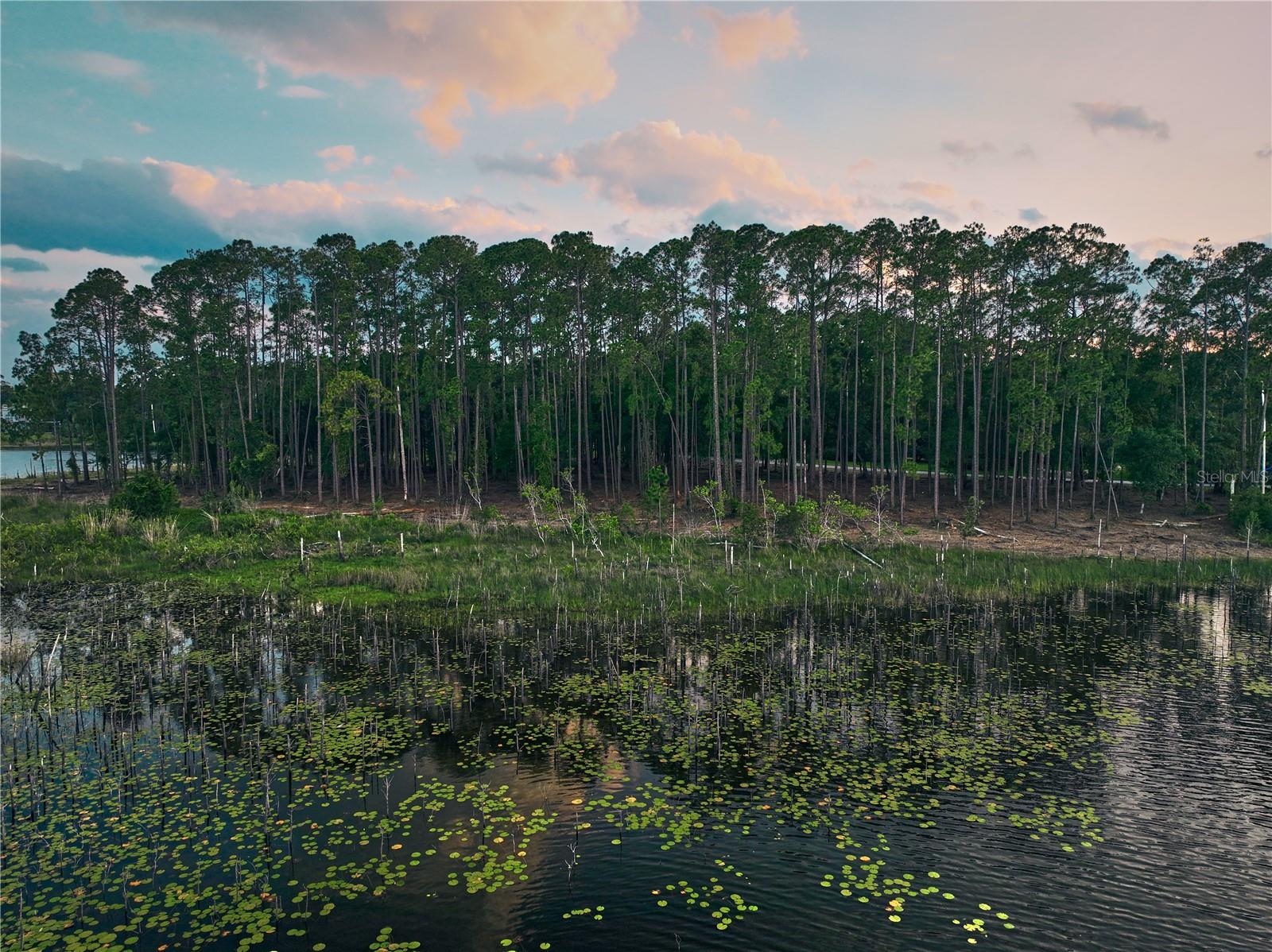 Lake Mary, Florida 32746, 0 , 0 ,0,Land,For Sale,GREENTREE,0,O6115397