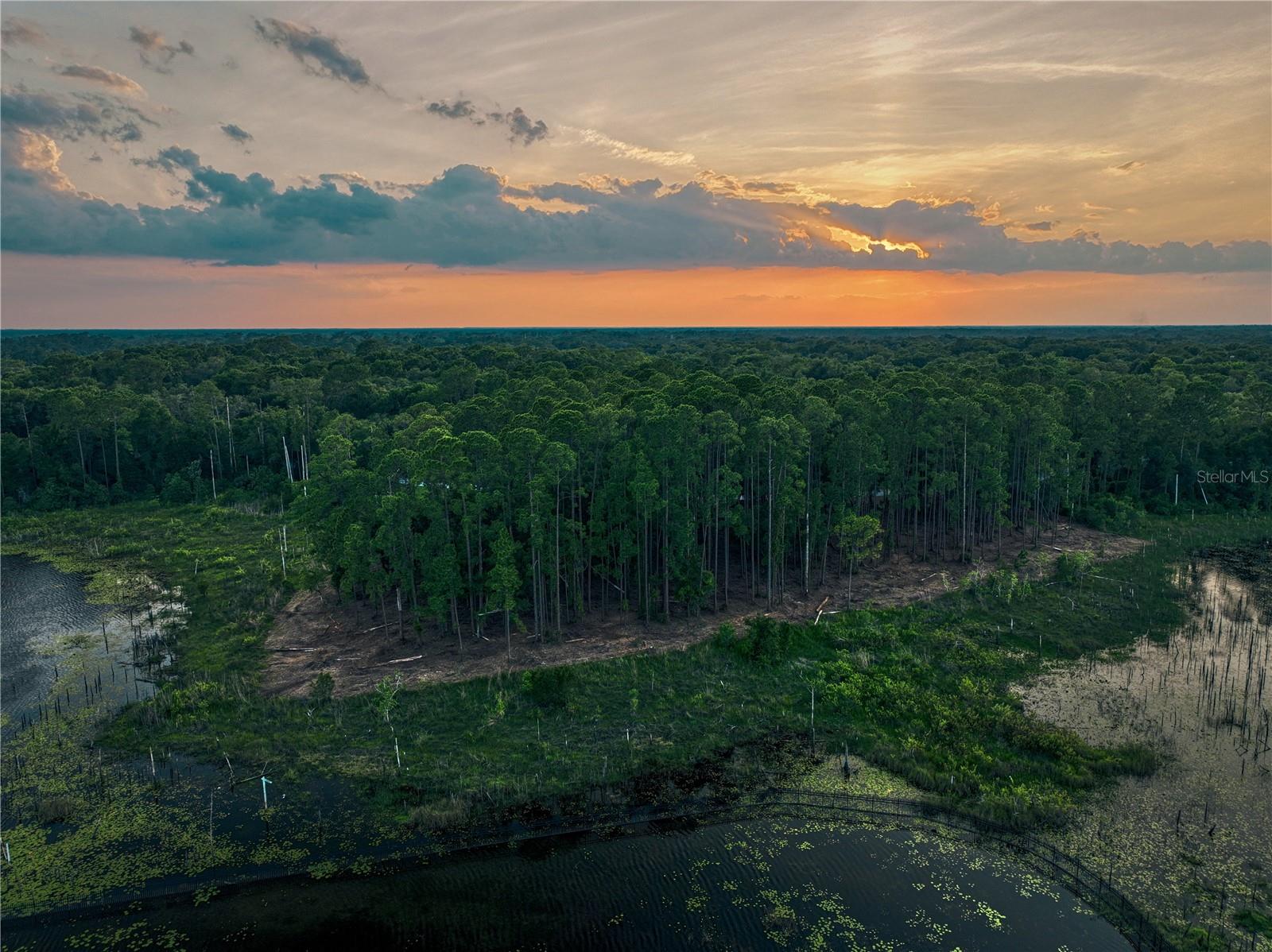 Lake Mary, Florida 32746, 0 , 0 ,0,Land,For Sale,GREENTREE,0,O6115397