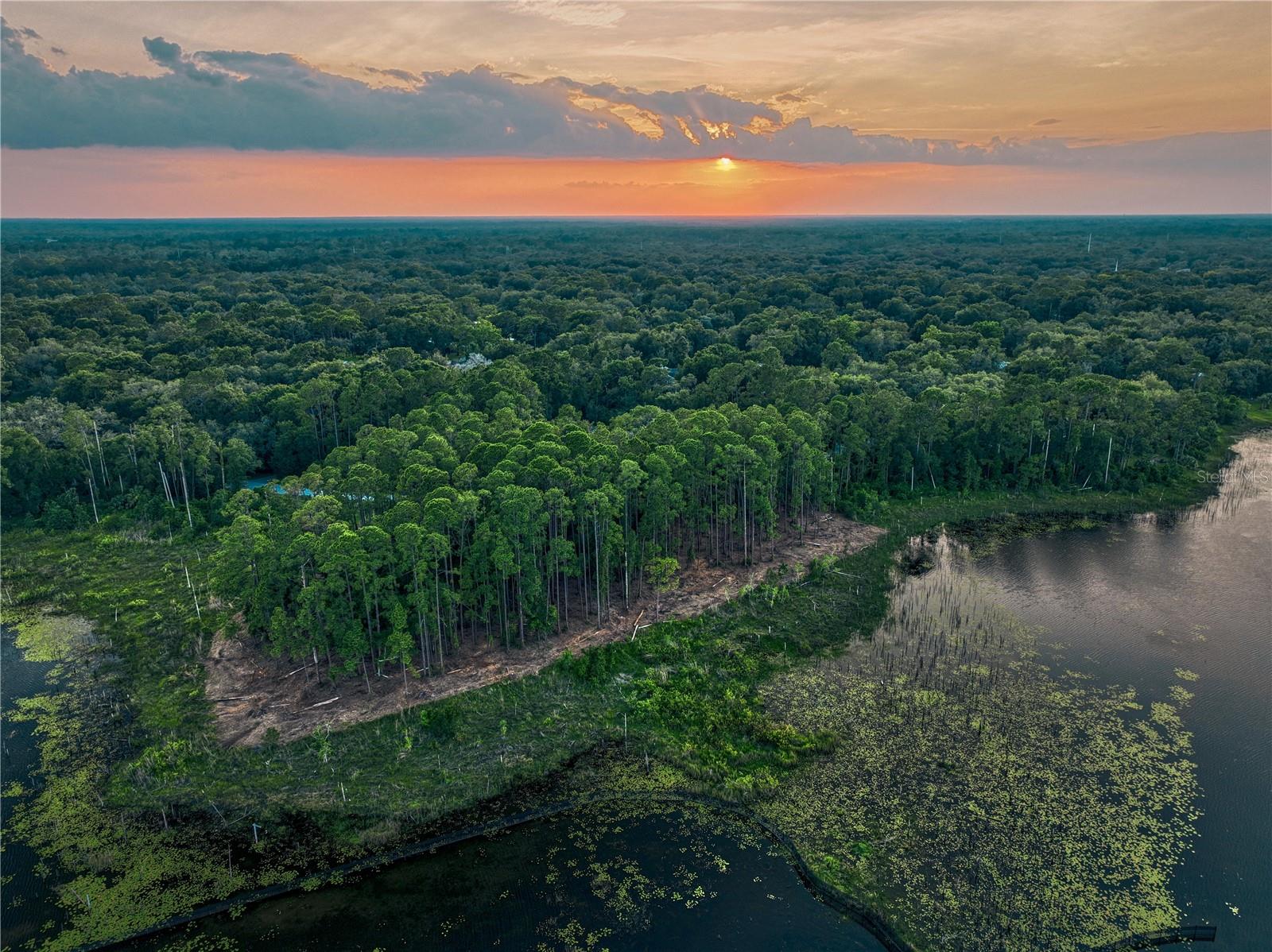 Lake Mary, Florida 32746, 0 , 0 ,0,Land,For Sale,GREENTREE,0,O6115397
