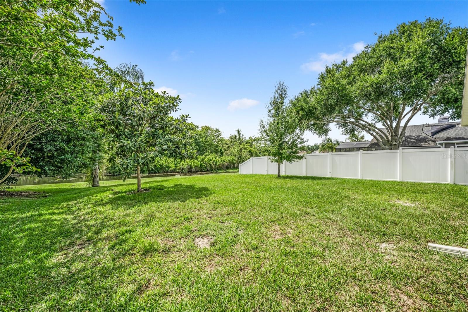 Spacious backyard!