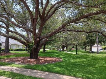 Neighborhood Park