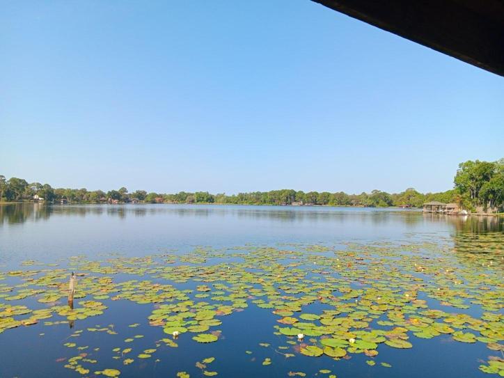 View of Deep Lake