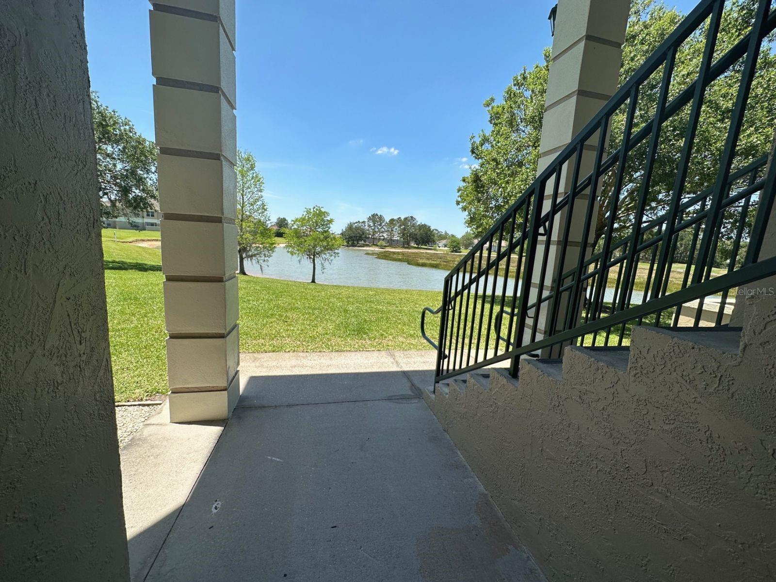 Pond view!