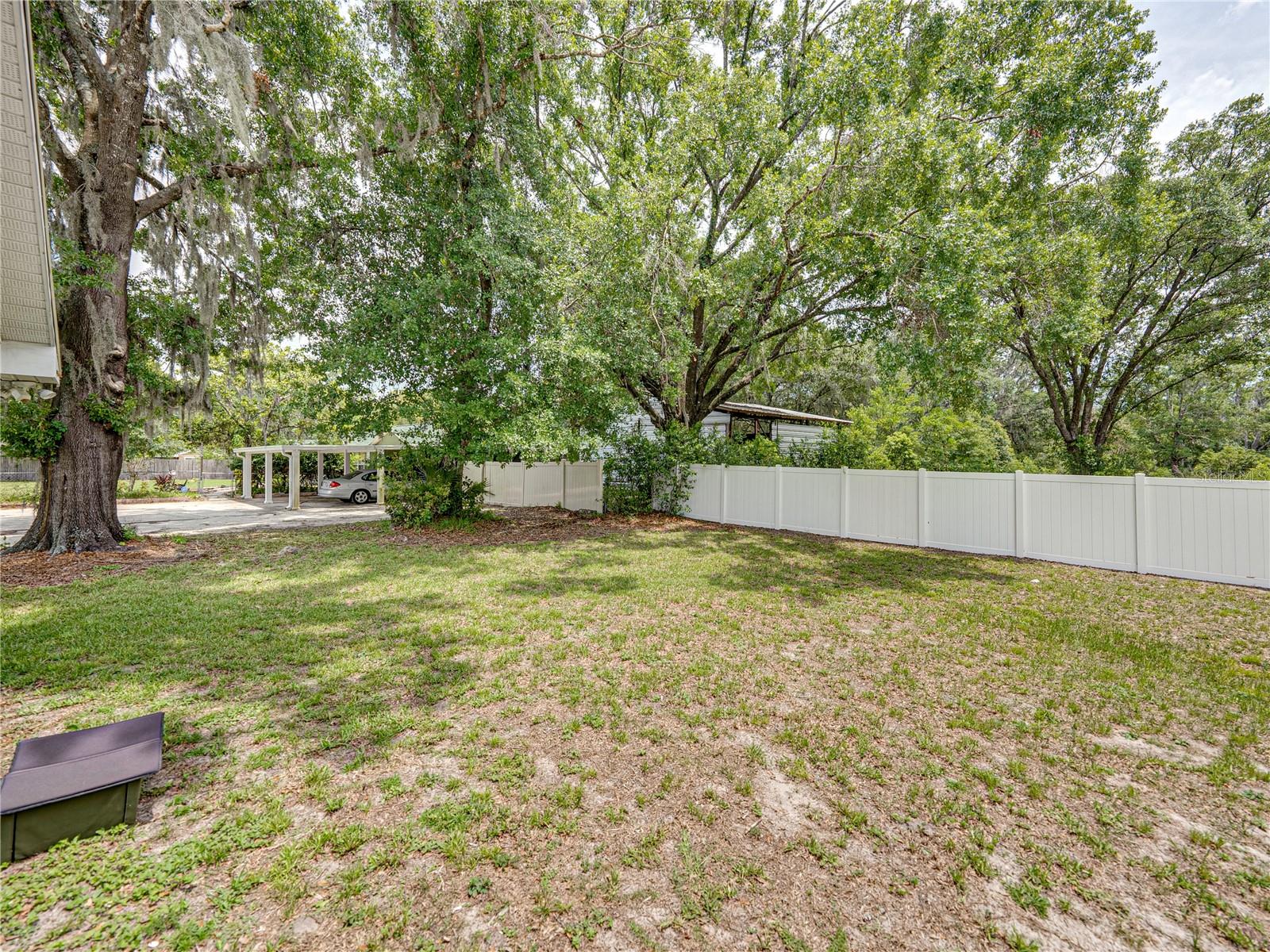 Backyard