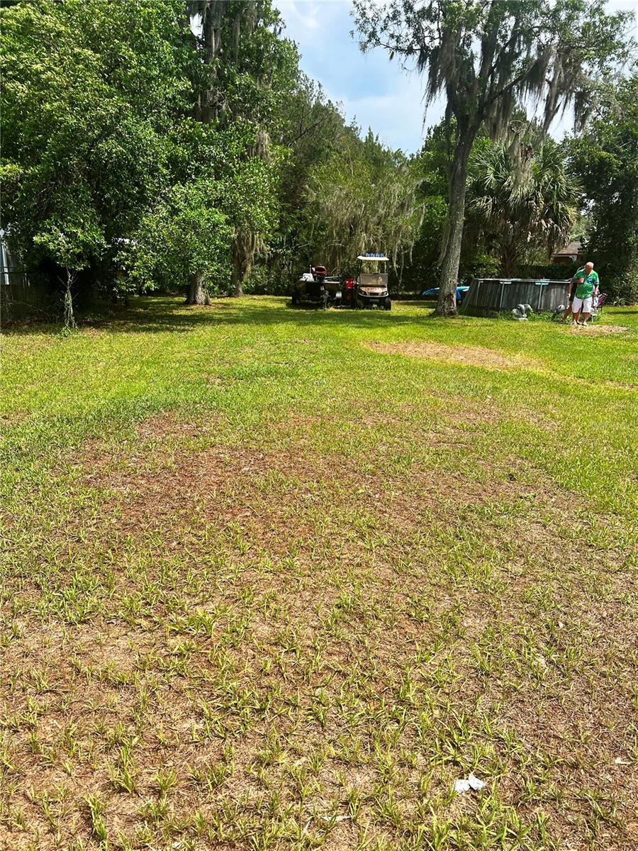 Back Yard