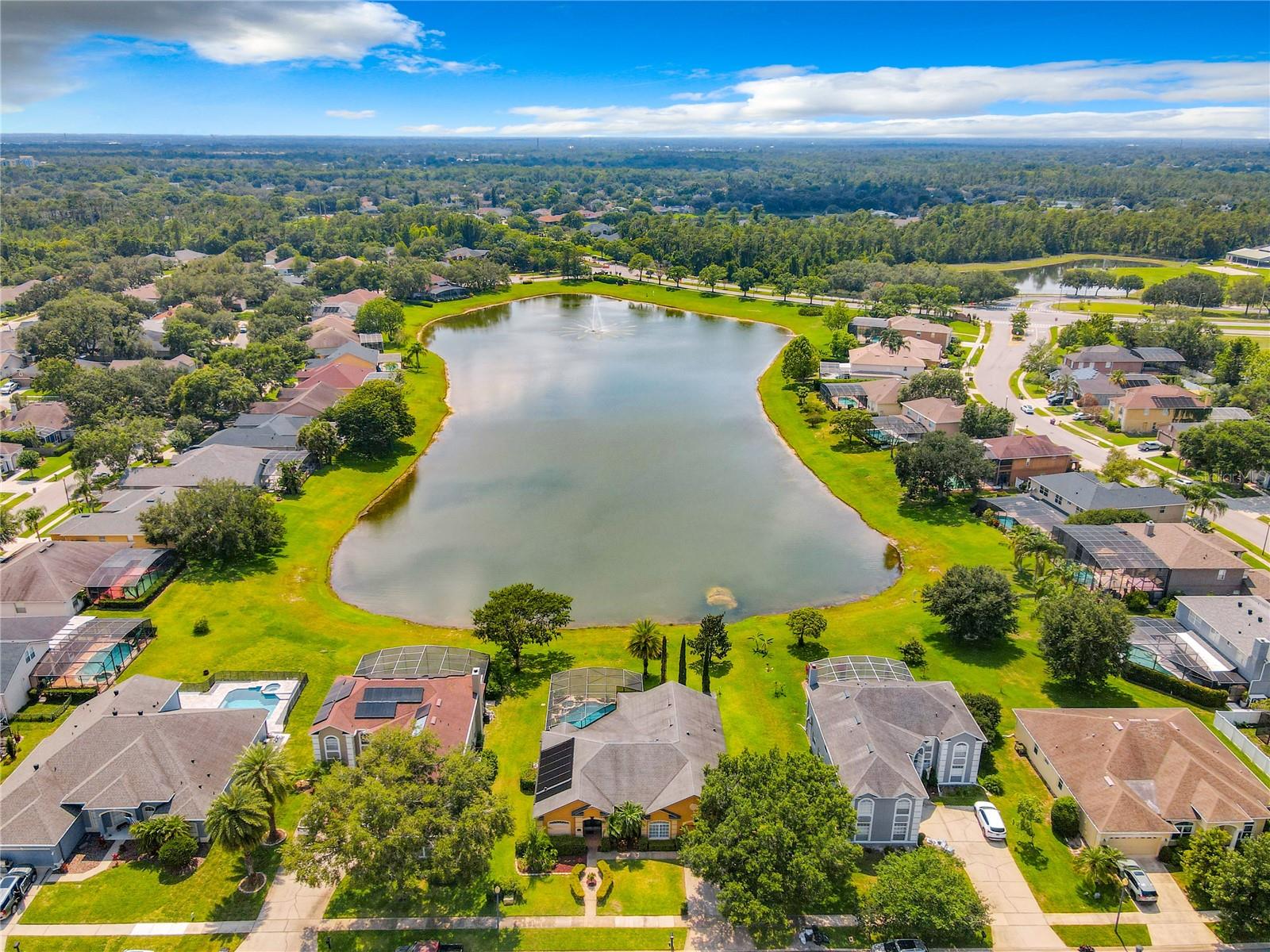 View of Pond