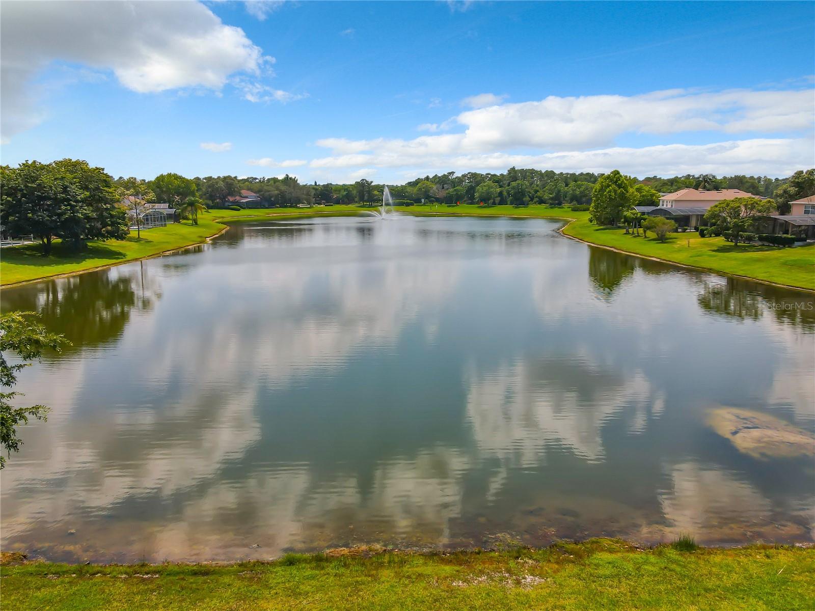 Pond View