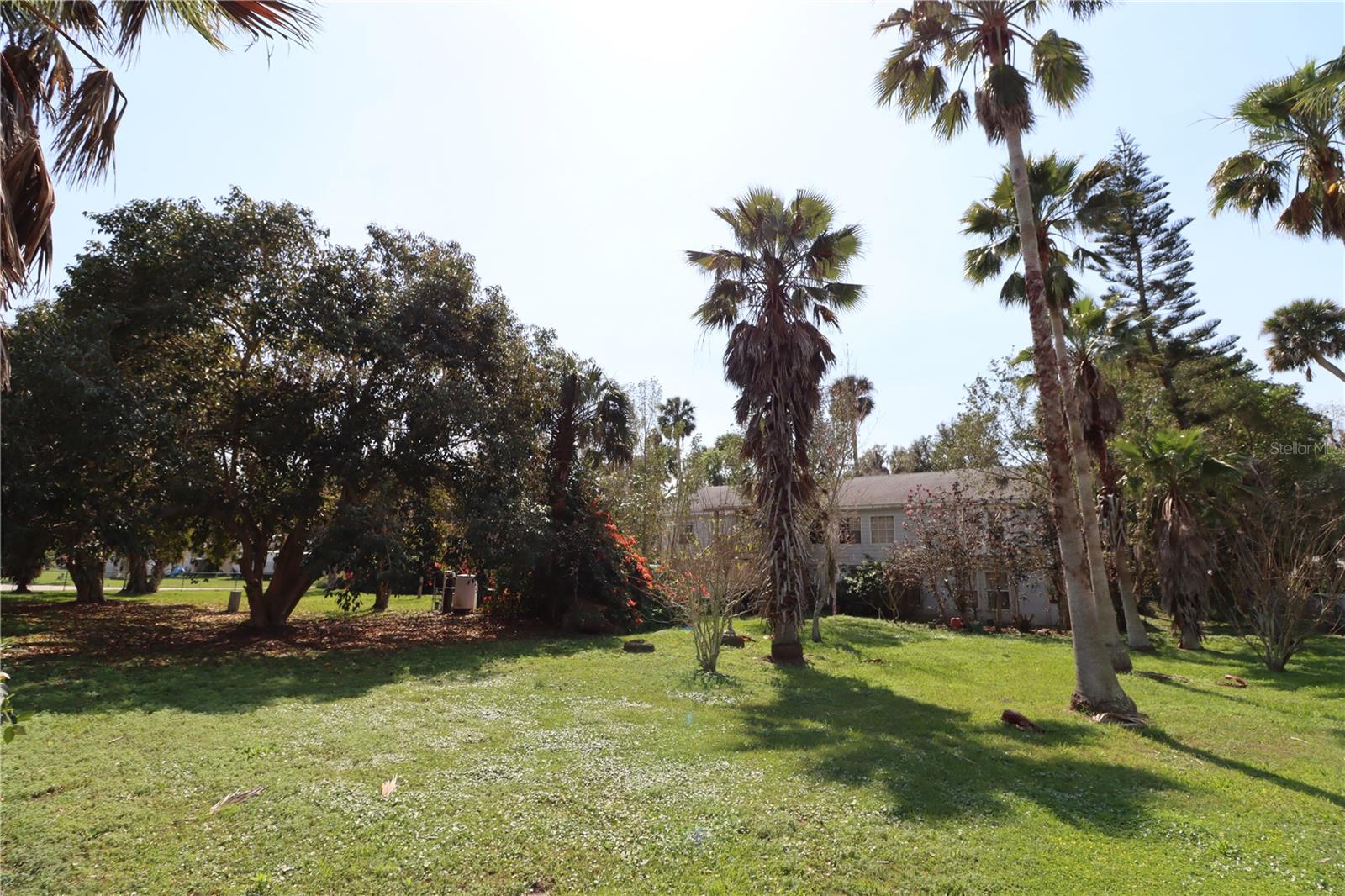 half acre yard.