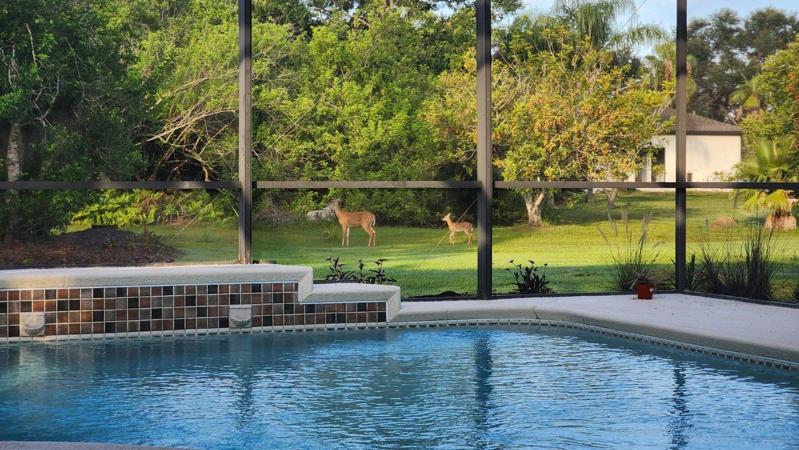 Enjoy your morning coffee with these guests