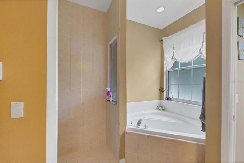Master bathroom tub