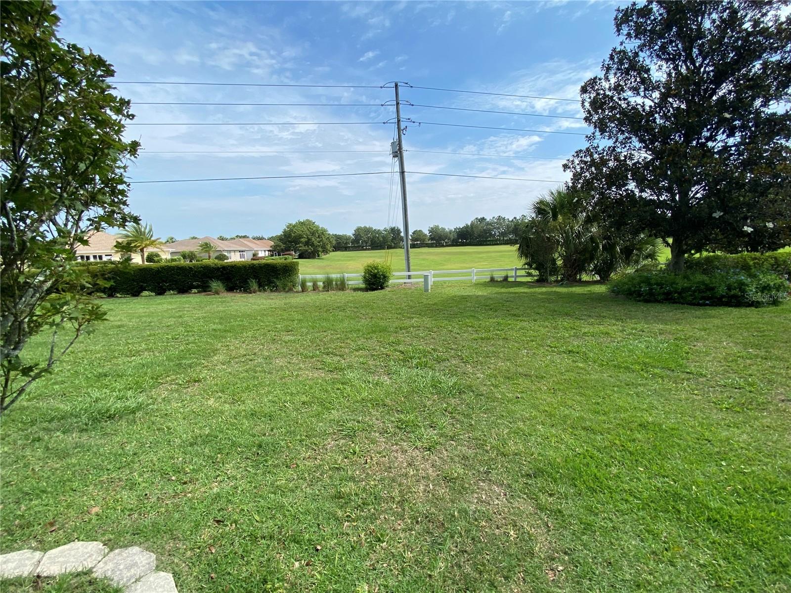 Greenspace in back