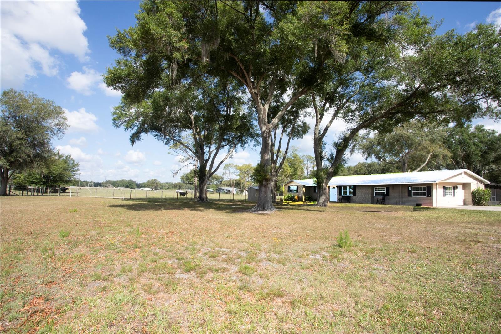 view of front yard
