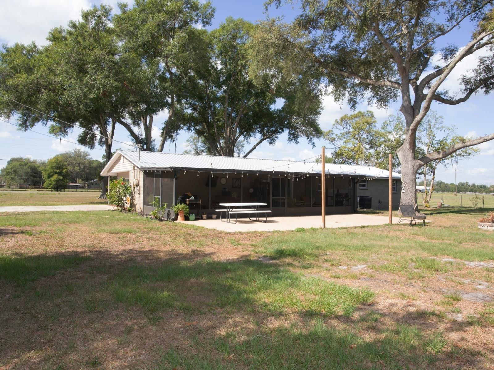 view from the back yard