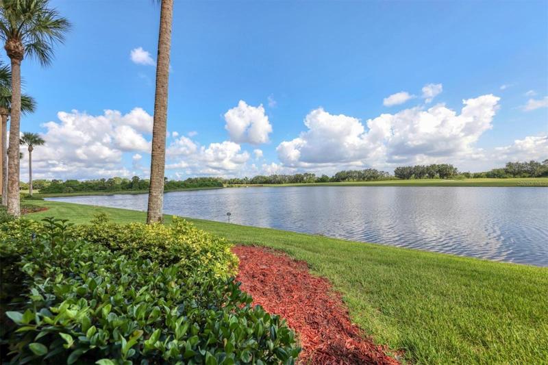 Your View from Living Room, Kitchen & Lanai
