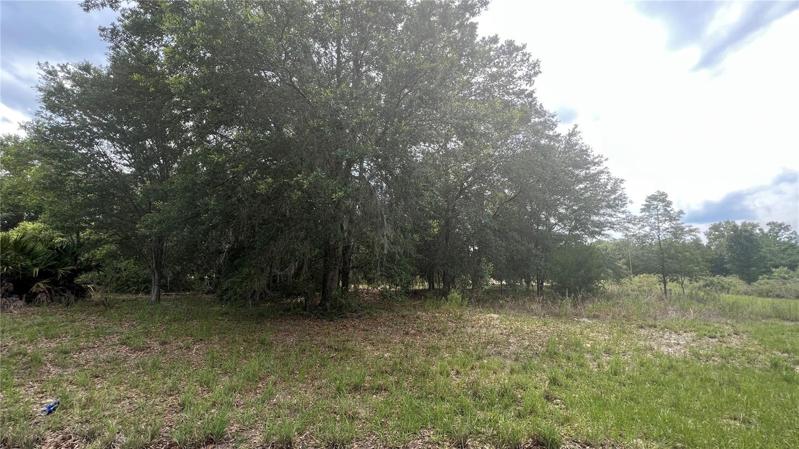 Extraordinary oversized residential vacant lot