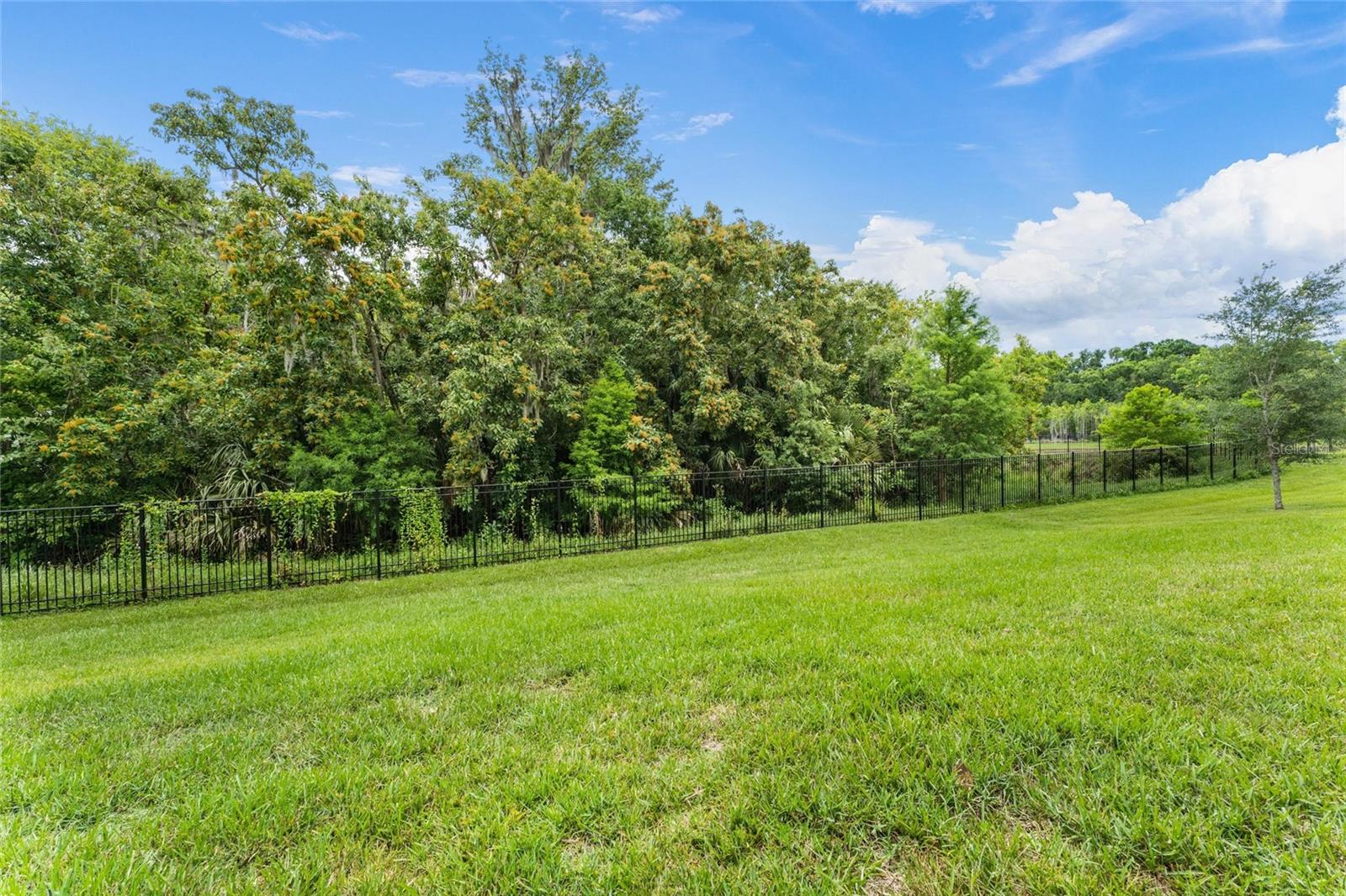 Conservation Area Backyard