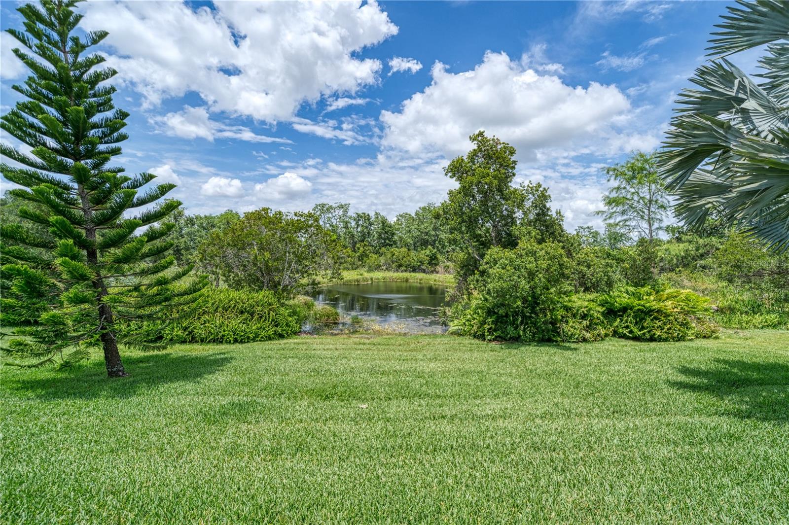 Pond frontage in the backyard
