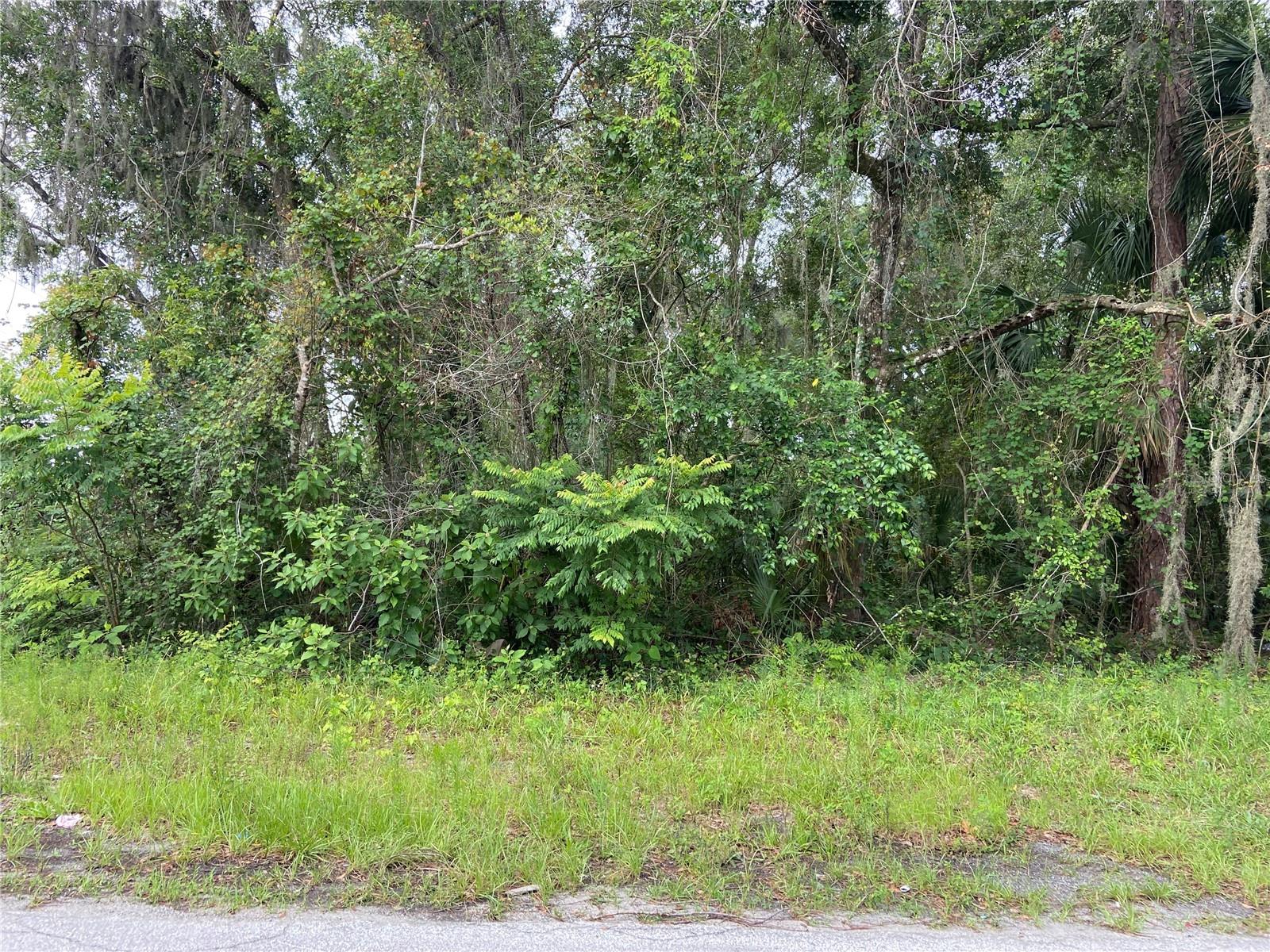 Deland, Florida 32720, 0 , 0 ,0,Land,For Sale,WILSON,0,V4930539