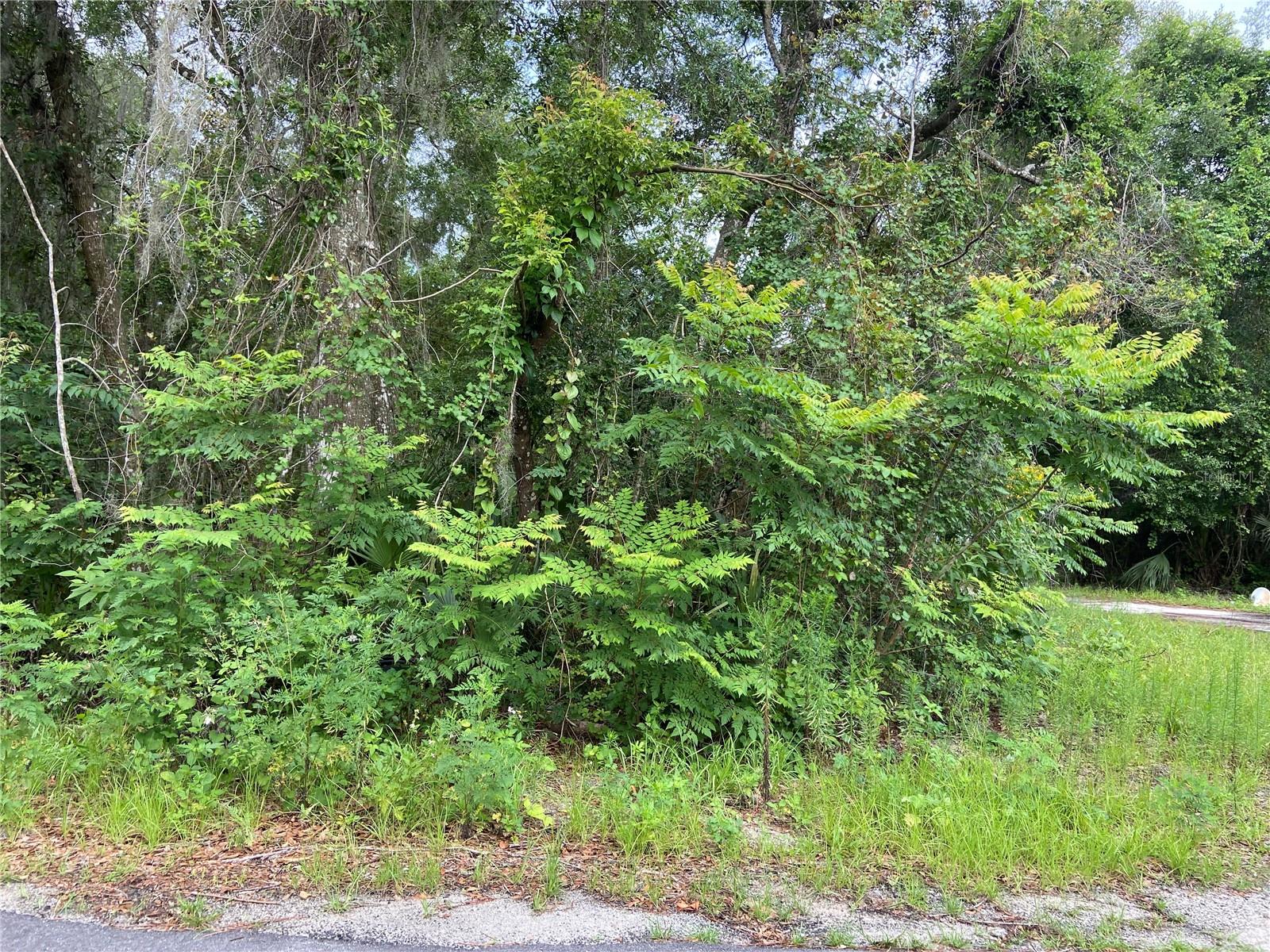 Deland, Florida 32720, 0 , 0 ,0,Land,For Sale,WILSON,0,V4930539