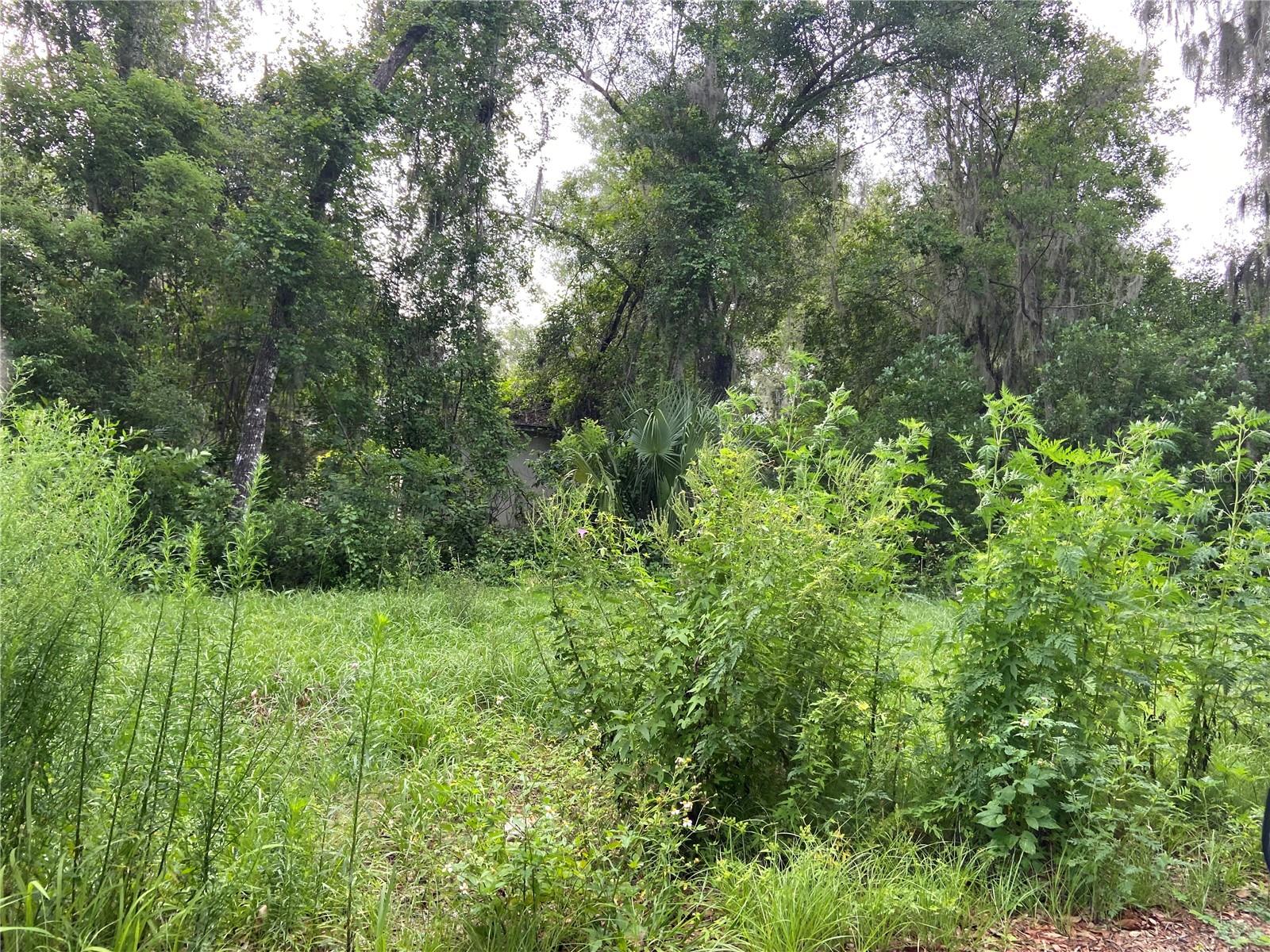 Deland, Florida 32720, 0 , 0 ,0,Land,For Sale,WILSON,0,V4930539