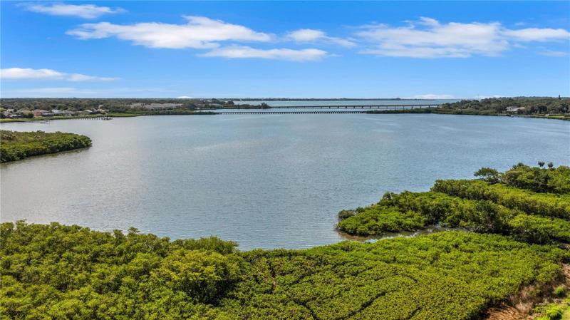 Tampa Bay only a short distance away!