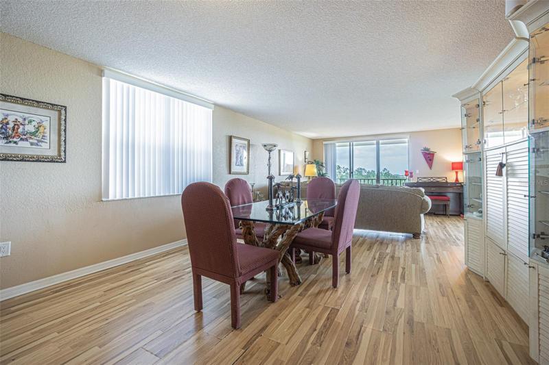 Combined Living and Dining Areas