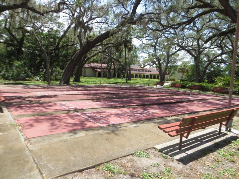 Shuffleboard