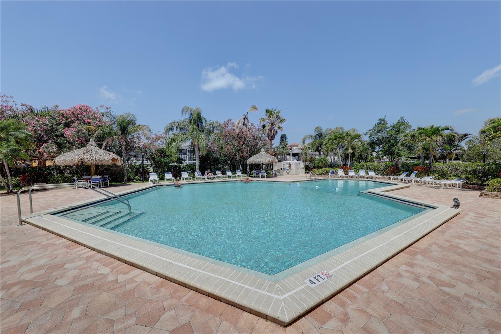 Pool deck view