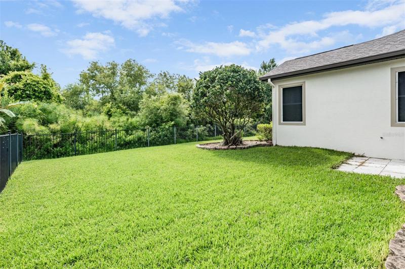 Fenced backyard