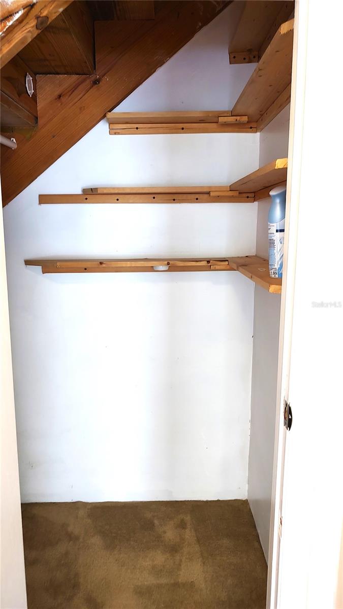 Under Stairs Storage
