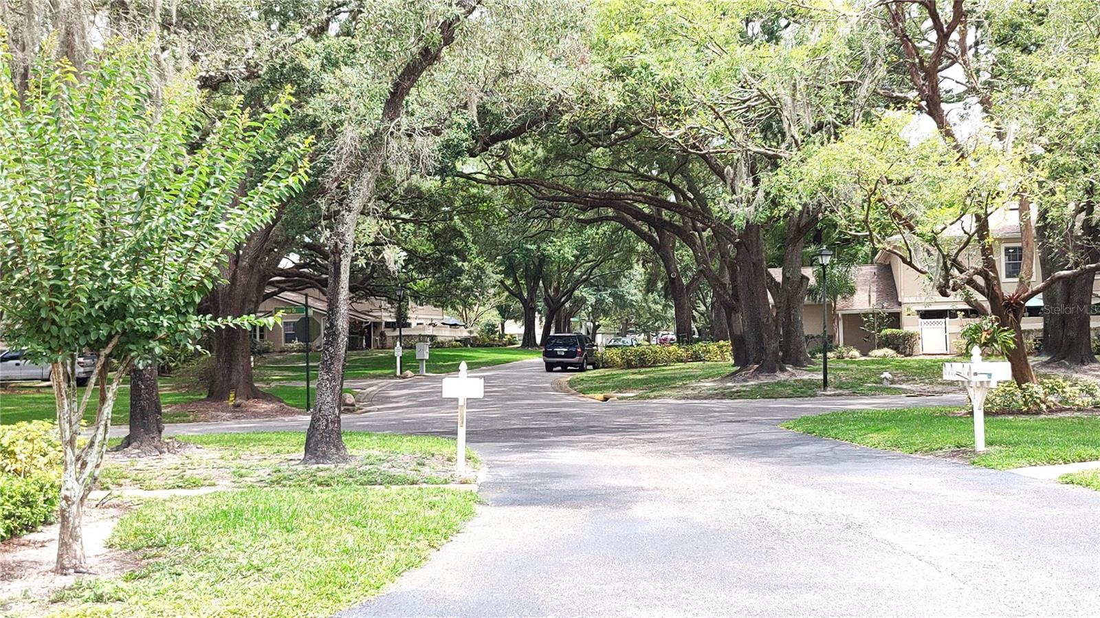View from garage exit