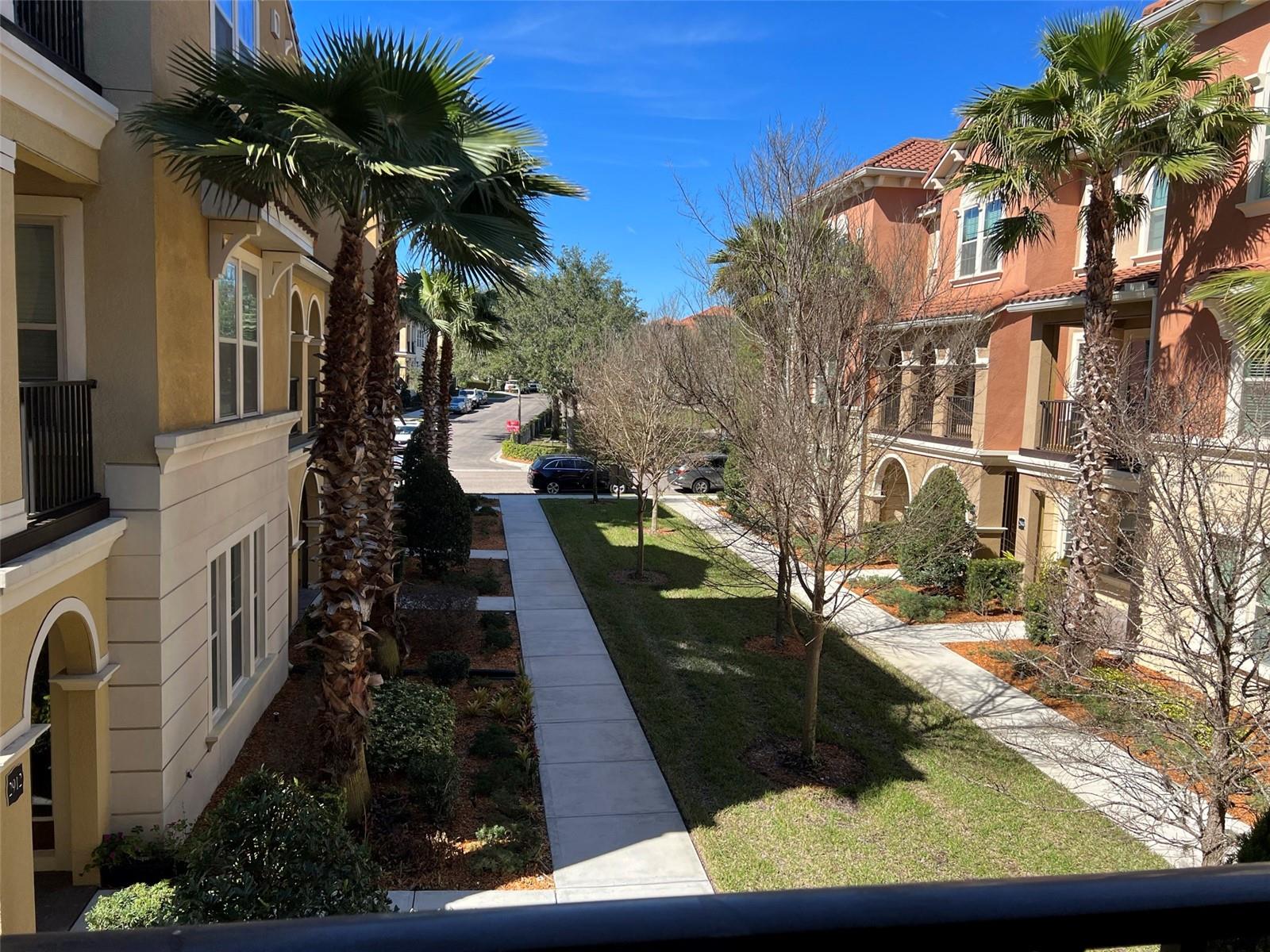 View from Balcony