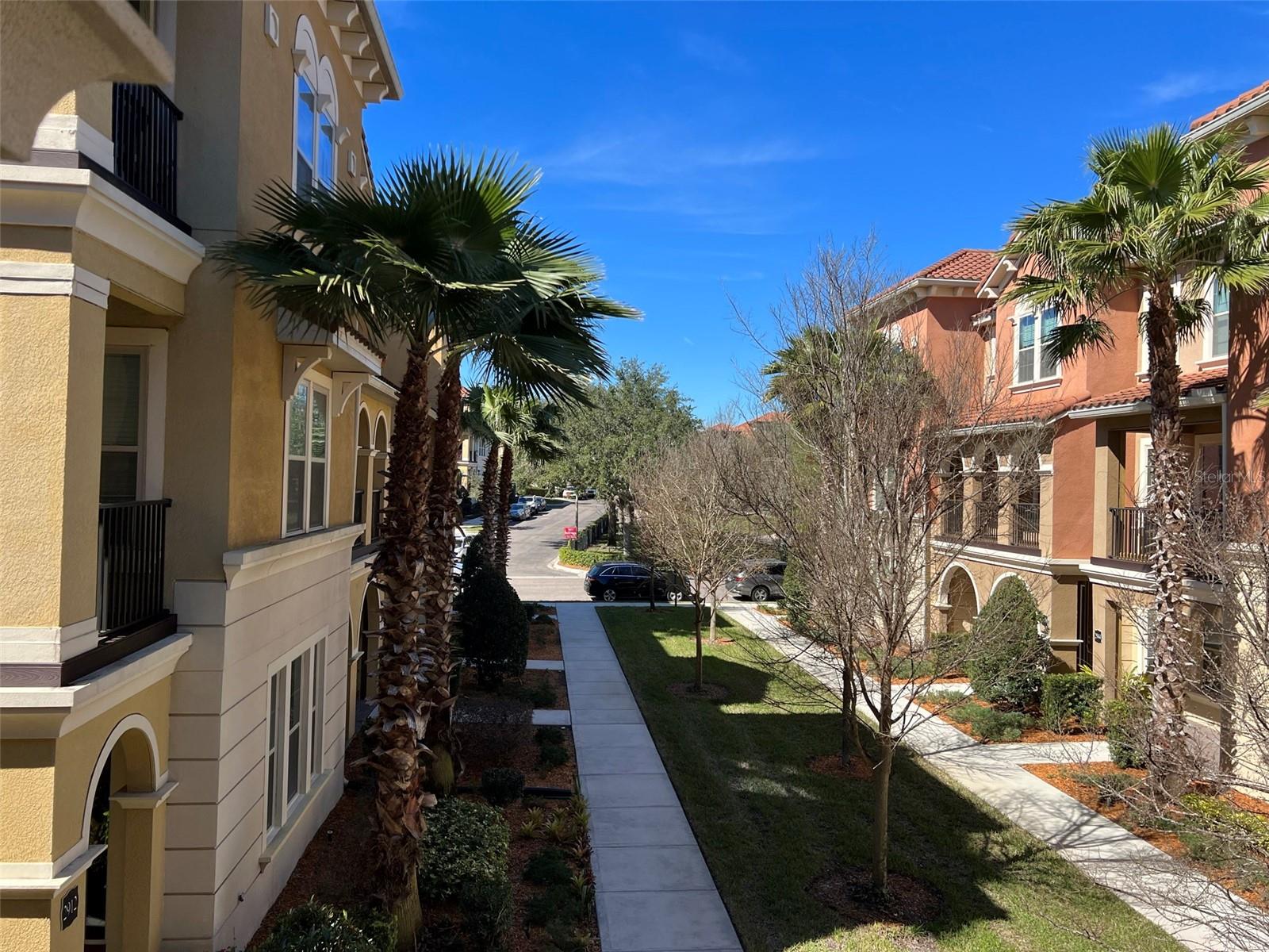 View from Balcony
